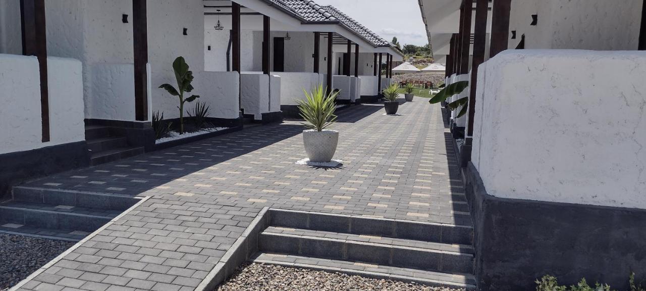 Bungalow Terra Kordu Băile Felix Екстериор снимка